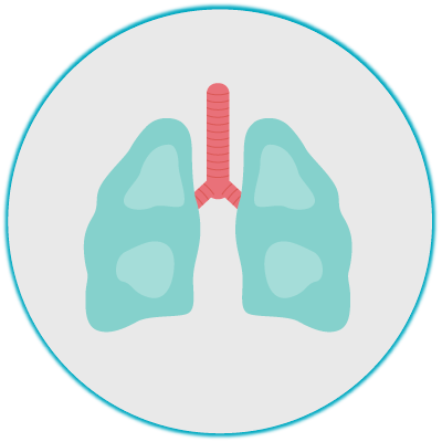 pulmones